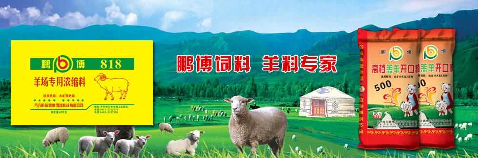 鵬博飼料，羊料專(zhuān)家